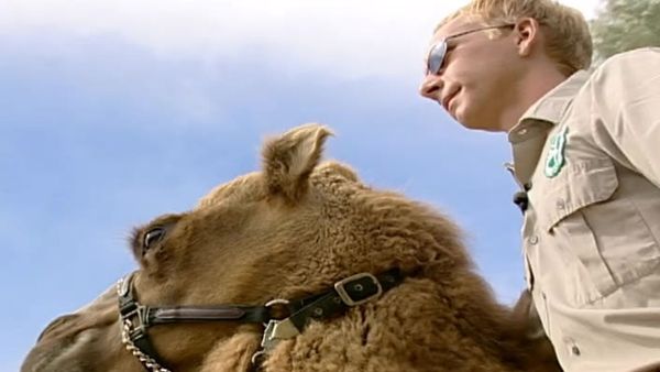 Zoo Diaries - Episode 19