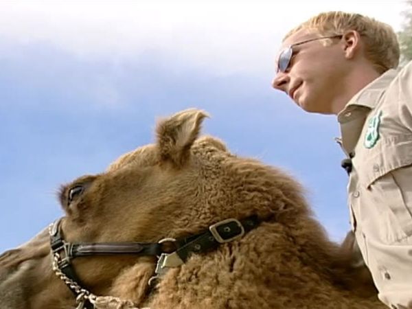 Zoo Diaries - Episode 19