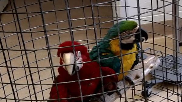 Zoo Diaries - Episode 17