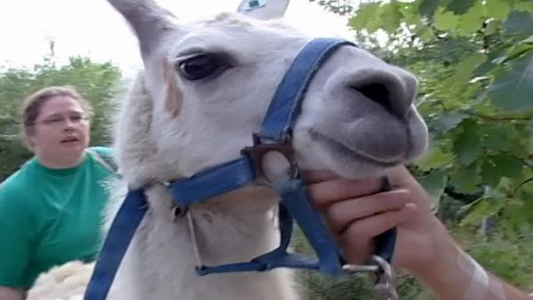 Zoo Diaries - Episode 20
