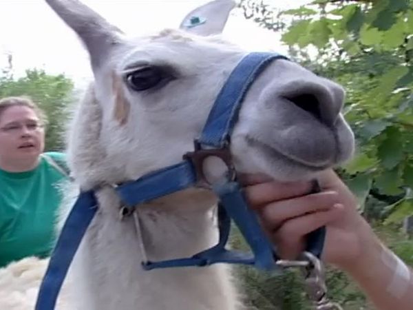 Zoo Diaries - Episode 20