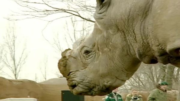 Zoo Diaries - Episode 08
