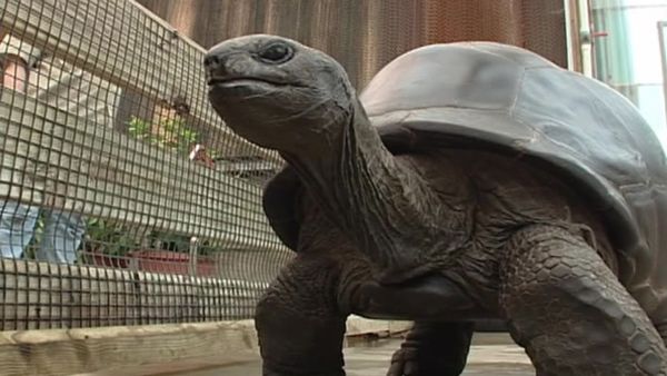 Zoo Diaries - Episode 29