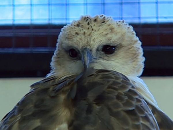 Zoo Diaries - Episode 30