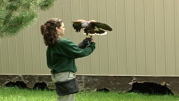 Zoo Diaries - Episode 14