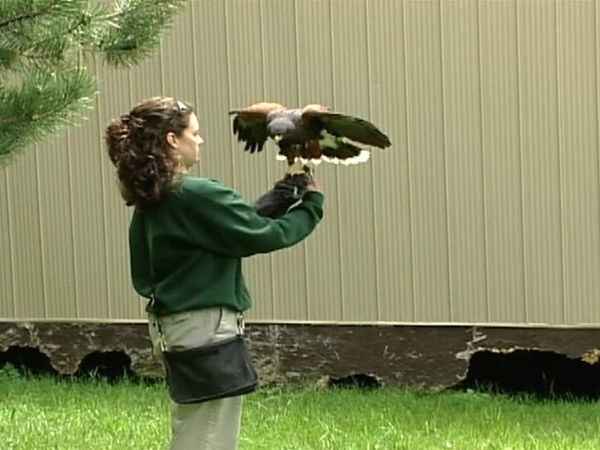 Zoo Diaries - Episode 14