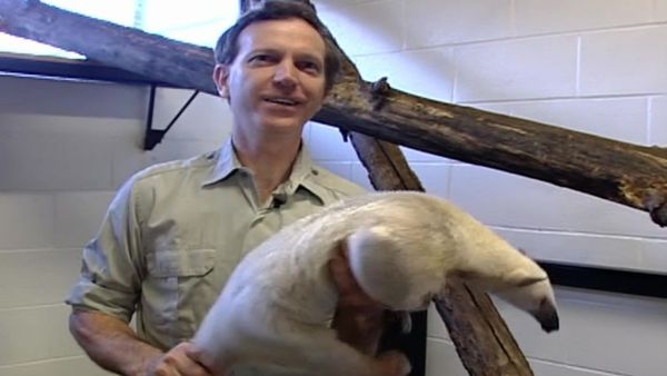 Zoo Diaries - Episode 16