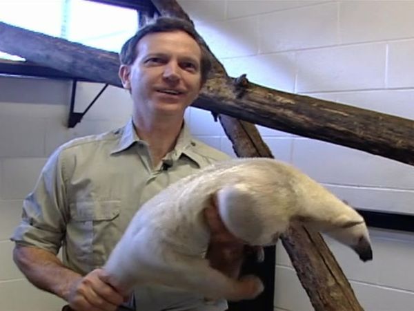 Zoo Diaries - Episode 16