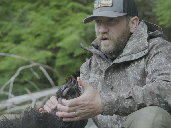 MeatEater - Alaska Black Bear