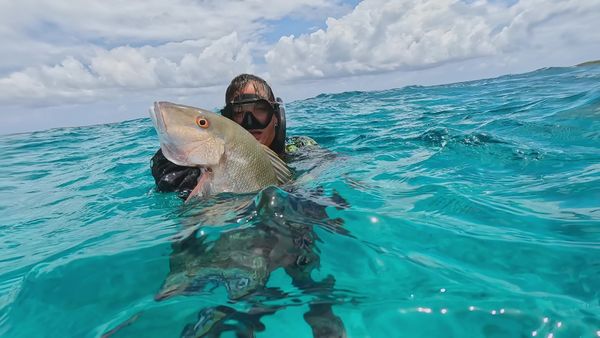 MeatEater - Bahamas Spearfishing