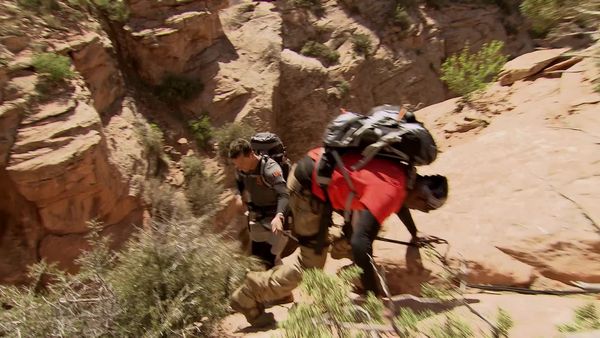 Running Wild With Bear Grylls - Bear Grylls, Deon Sanders