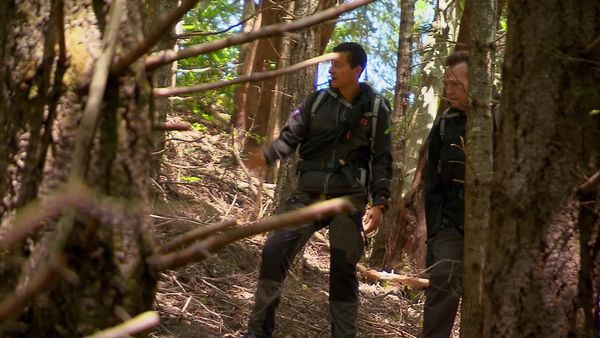 Running Wild With Bear Grylls - Bear Grylls, Tom Arnold