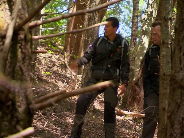 Running Wild With Bear Grylls - Bear Grylls, Tom Arnold