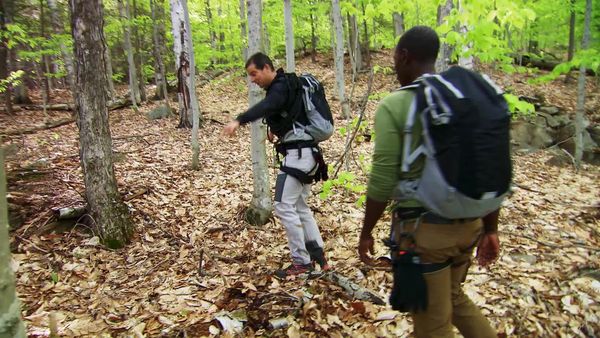 Running Wild With Bear Grylls - Bear Grylls, Don Cheadle