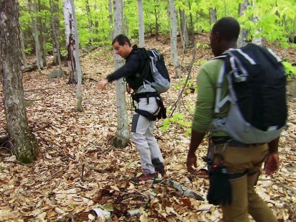 Running Wild With Bear Grylls - Bear Grylls, Don Cheadle
