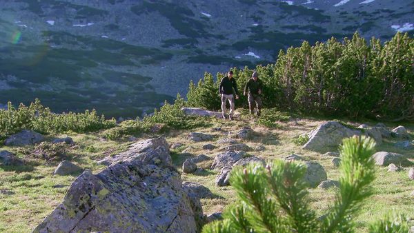 Running Wild With Bear Grylls - Bear Grylls, Derek Hough