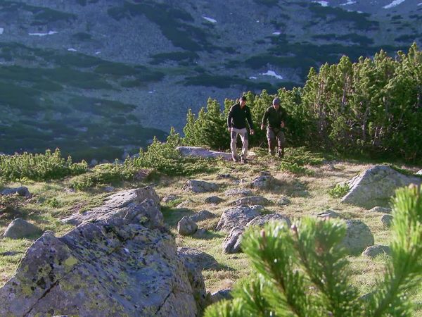 Running Wild With Bear Grylls - Bear Grylls, Derek Hough