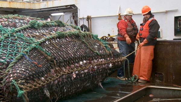 Undercover Boss - American Seafoods
