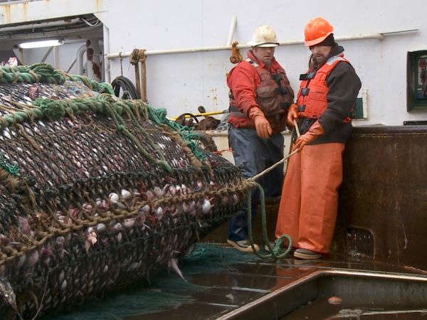 Undercover Boss - American Seafoods
