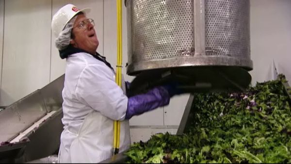 Undercover Boss - Chiquita