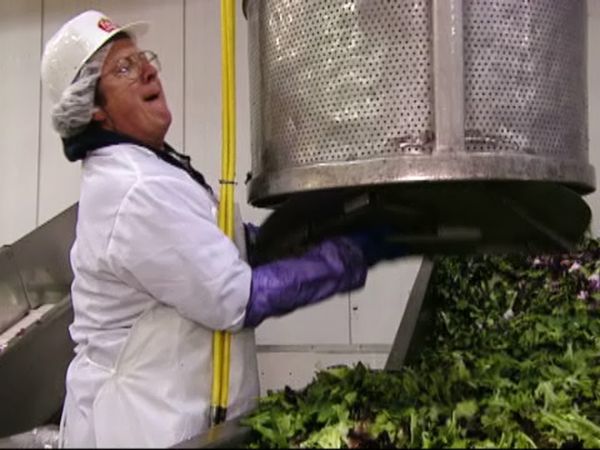 Undercover Boss - Chiquita