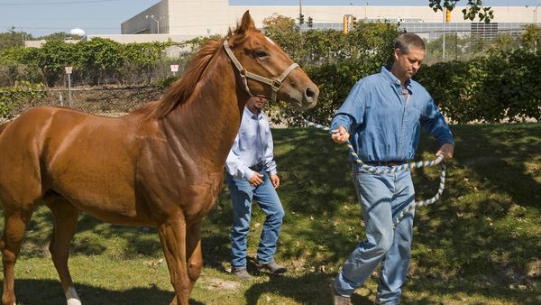 Undercover Boss - Churchill Downs