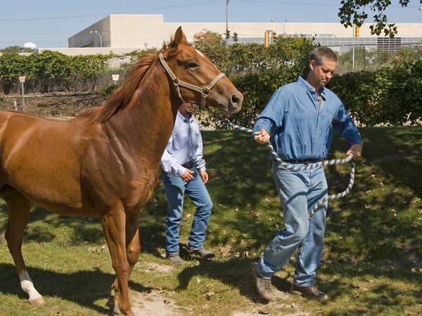 Undercover Boss - Churchill Downs
