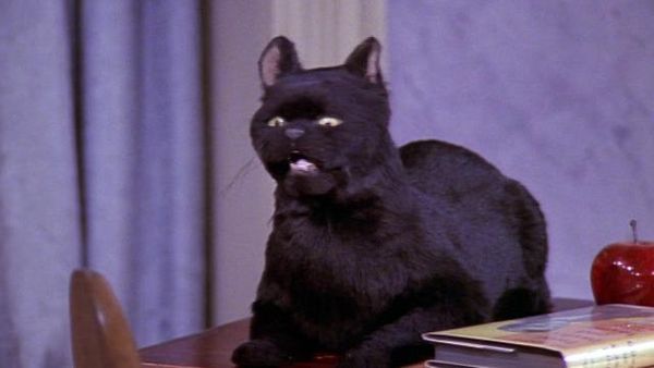 Sabrina the Teenage Witch - Pancake Madness
