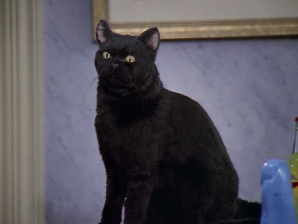 Sabrina the Teenage Witch - The Band Show