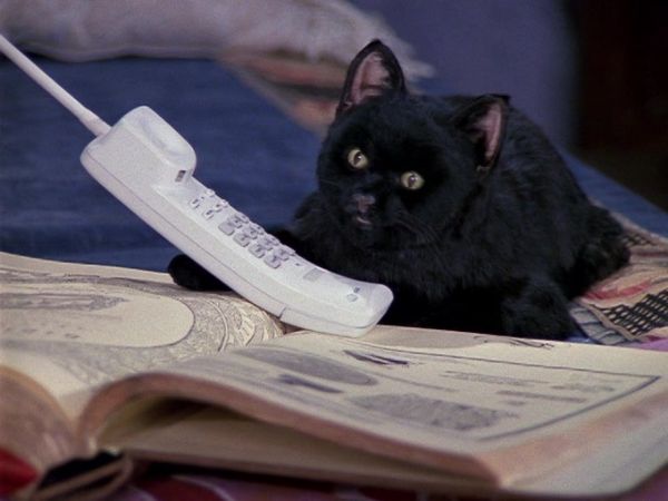 Sabrina the Teenage Witch - Little Big Kraft