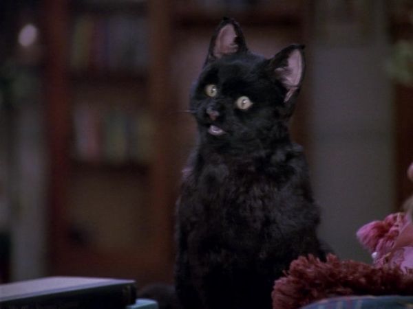 Sabrina the Teenage Witch - Sabrina Claus