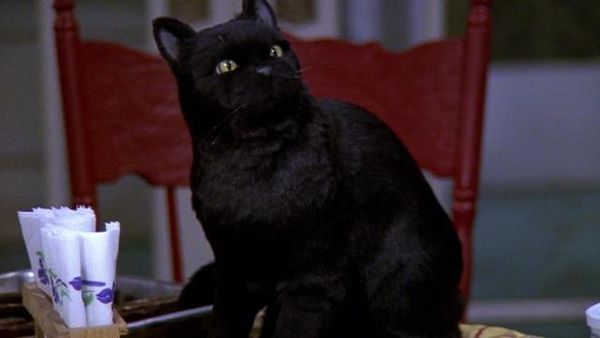 Sabrina the Teenage Witch - The End Of An Era (Season Finale)