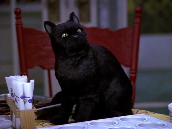 Sabrina the Teenage Witch - The End Of An Era (Season Finale)