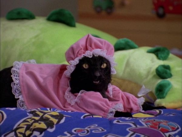 Sabrina the Teenage Witch - A Girl & Her Cat