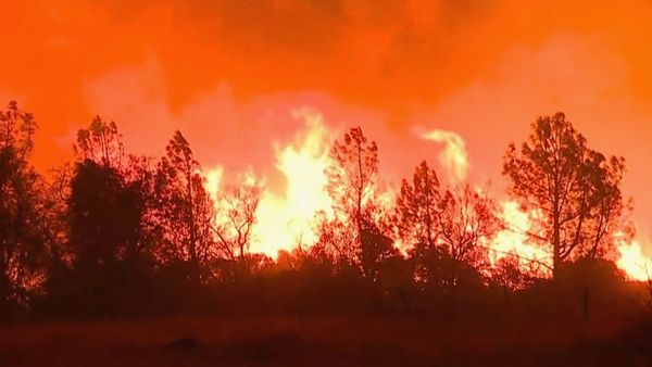 Deadly Disasters - Wildfires