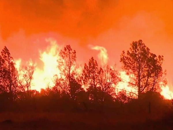 Deadly Disasters - Wildfires