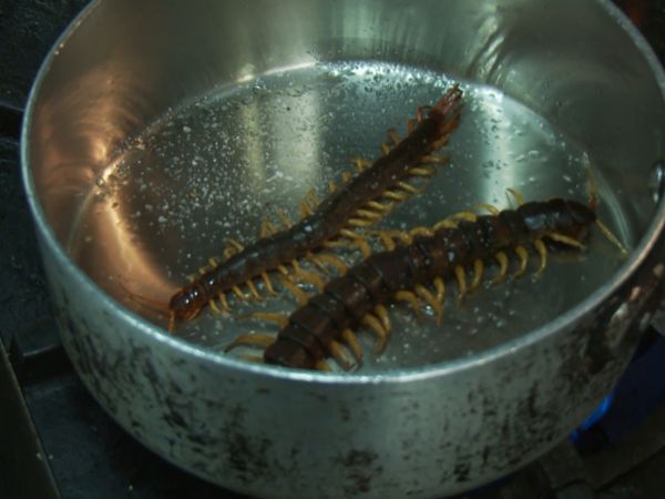 My Crazy Obsession - Buggin' Out_Dumpster Diet