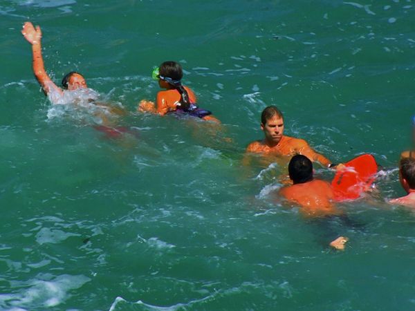 Lifeguard! - Chaos at the Cove!