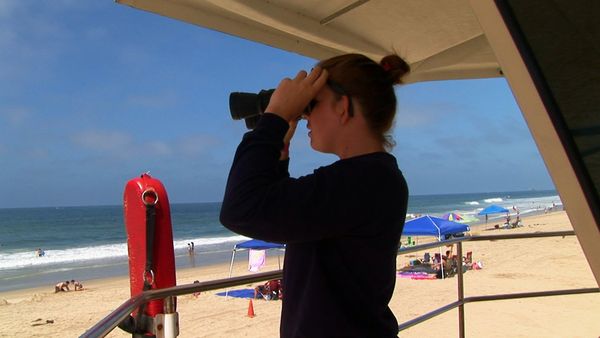 Lifeguard! - Mission Bay Madness!