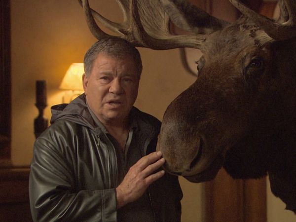 Weird Or What? With William Shatner - Weird Animal Behaviour