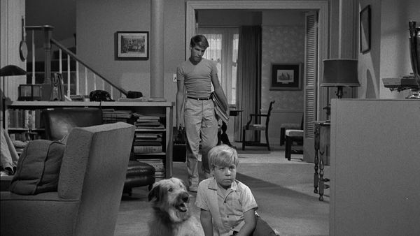 My Three Sons - Countdown