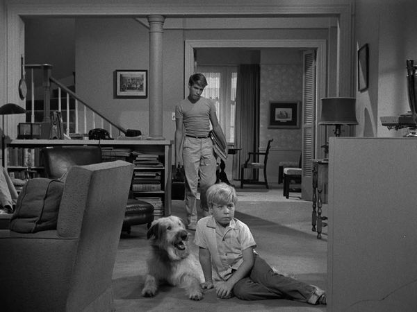 My Three Sons - Countdown
