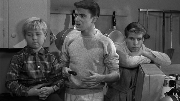 My Three Sons - Chip's Harvest