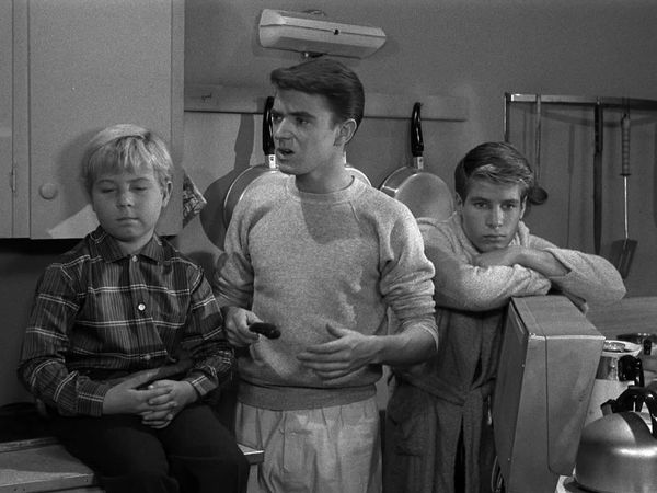 My Three Sons - Chip's Harvest