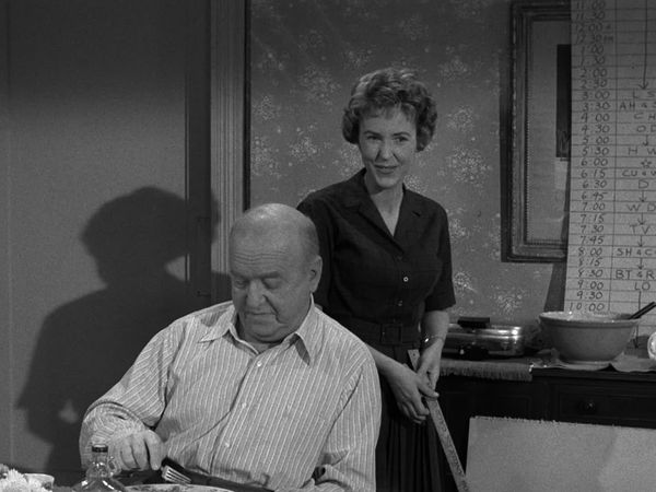 My Three Sons - Organization Women