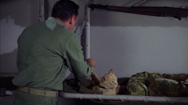 Gomer Pyle, U.S.M.C. - Cat Overboard