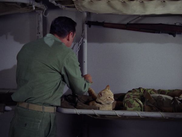 Gomer Pyle, U.S.M.C. - Cat Overboard