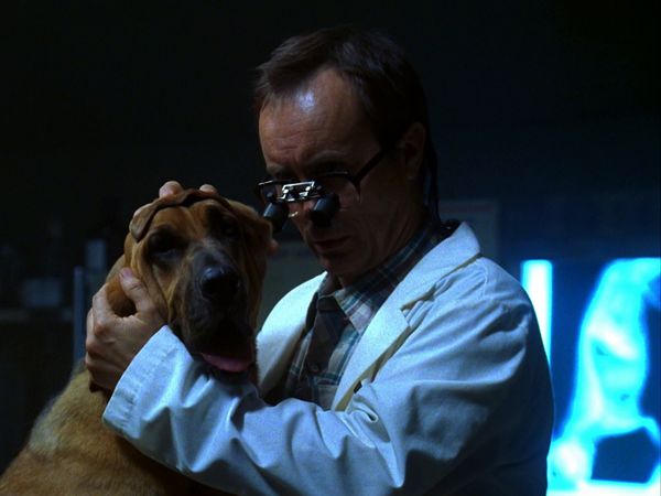 CSI: Crime Scene Investigation - Jackpot