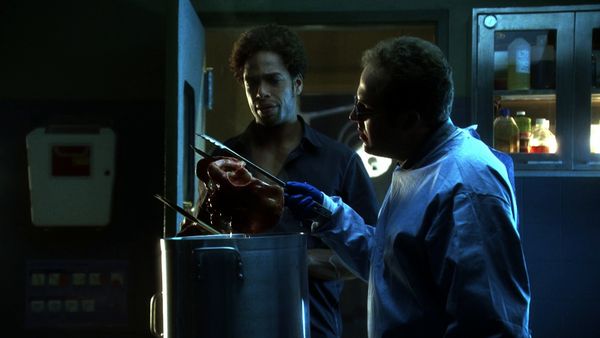CSI: Crime Scene Investigation - Invisible Evidence