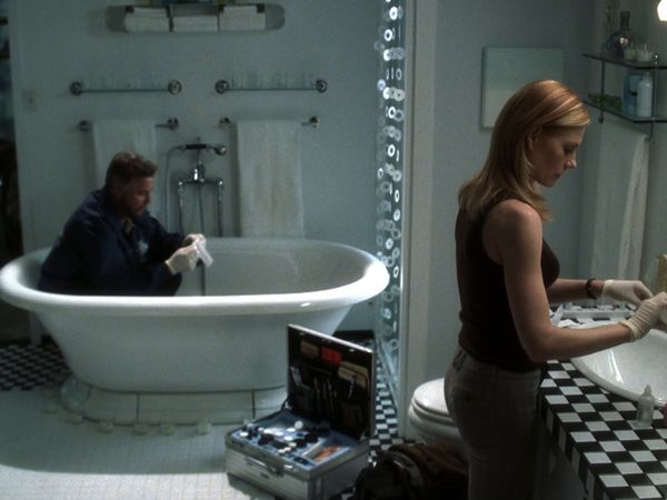 CSI: Crime Scene Investigation - Butterflied